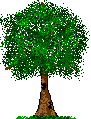 Tree - 3.1 K